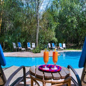 Mara Simba Lodge Maasai Mara Exterior photo